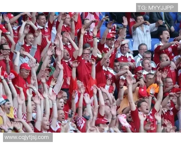 丹麦与法国足球对决的澳盘分析及投注建议详解 丹麦与法国足球对决的澳盘分析及投注建议详解