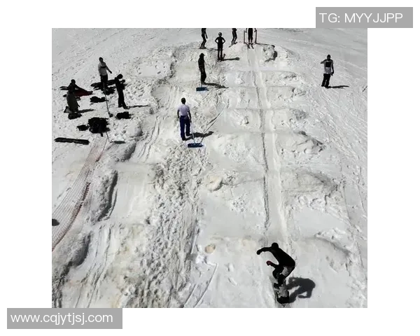 德国与奥地利实时对决精彩回顾与分析