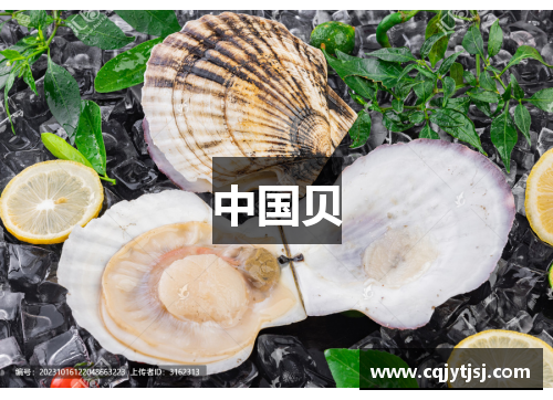 中国贝