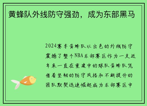黄蜂队外线防守强劲，成为东部黑马